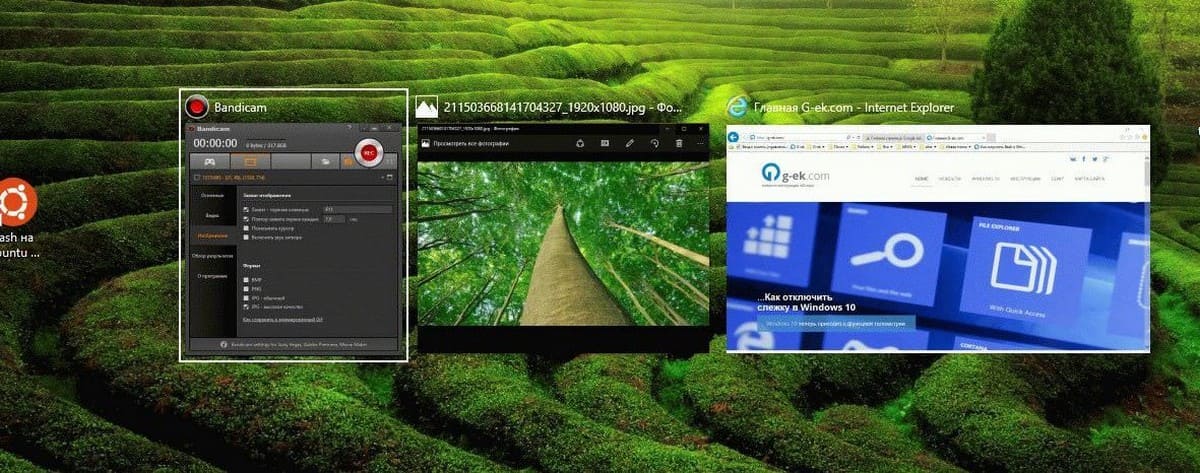 Grid_backgroundPercent = 0